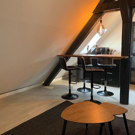 科尔马Cocoon Loft公寓 外观 照片