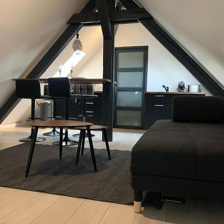 科尔马Cocoon Loft公寓 外观 照片