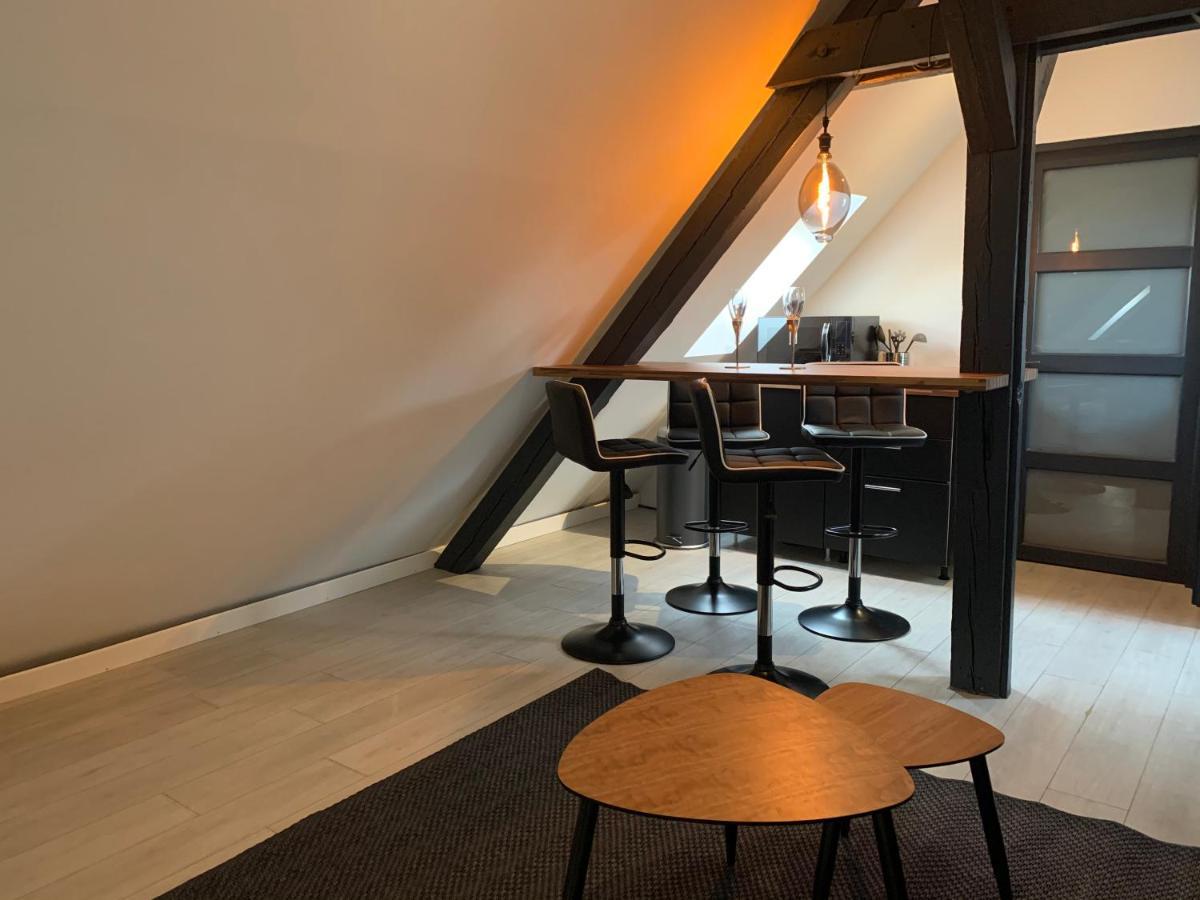 科尔马Cocoon Loft公寓 外观 照片