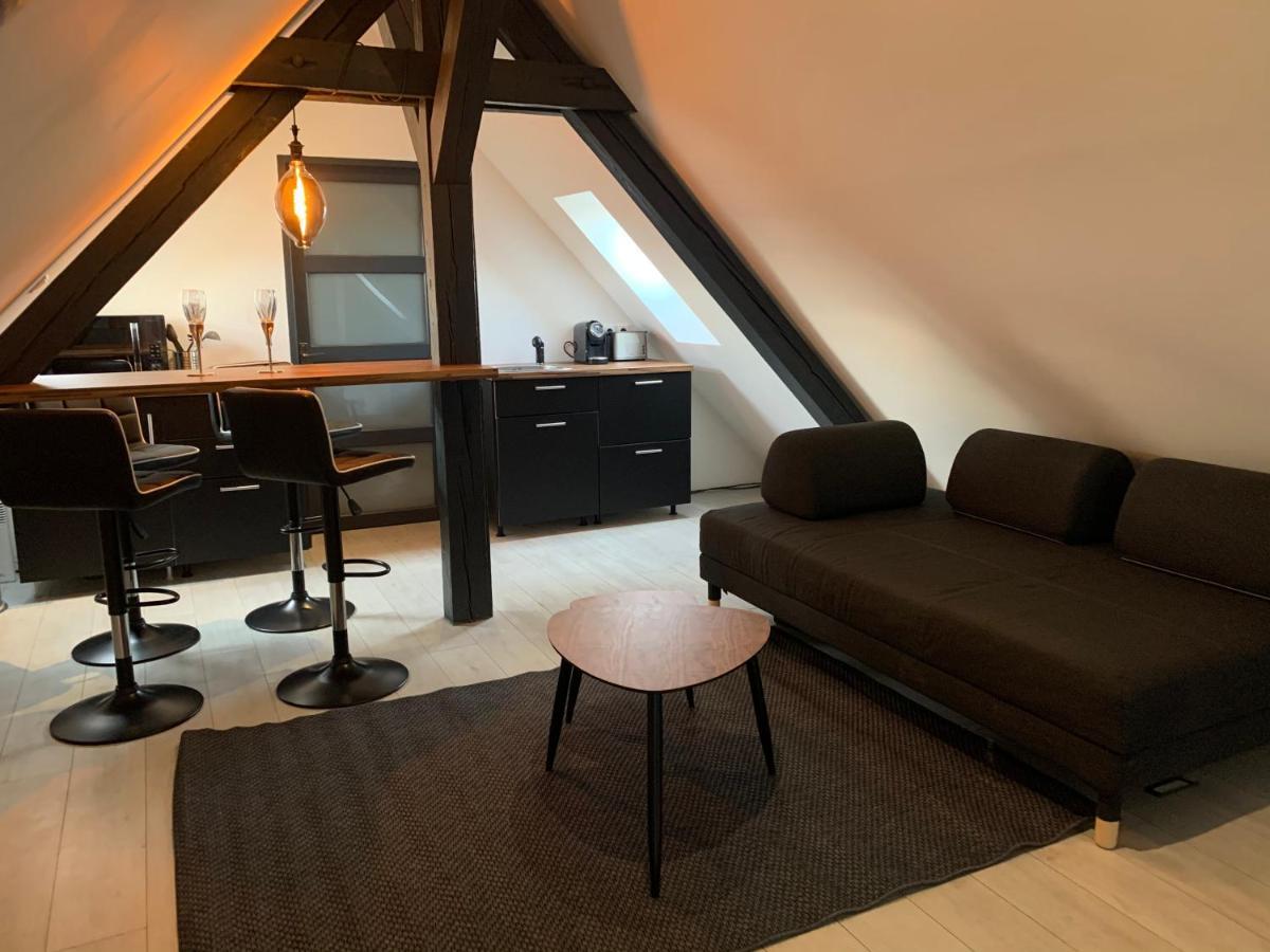 科尔马Cocoon Loft公寓 外观 照片