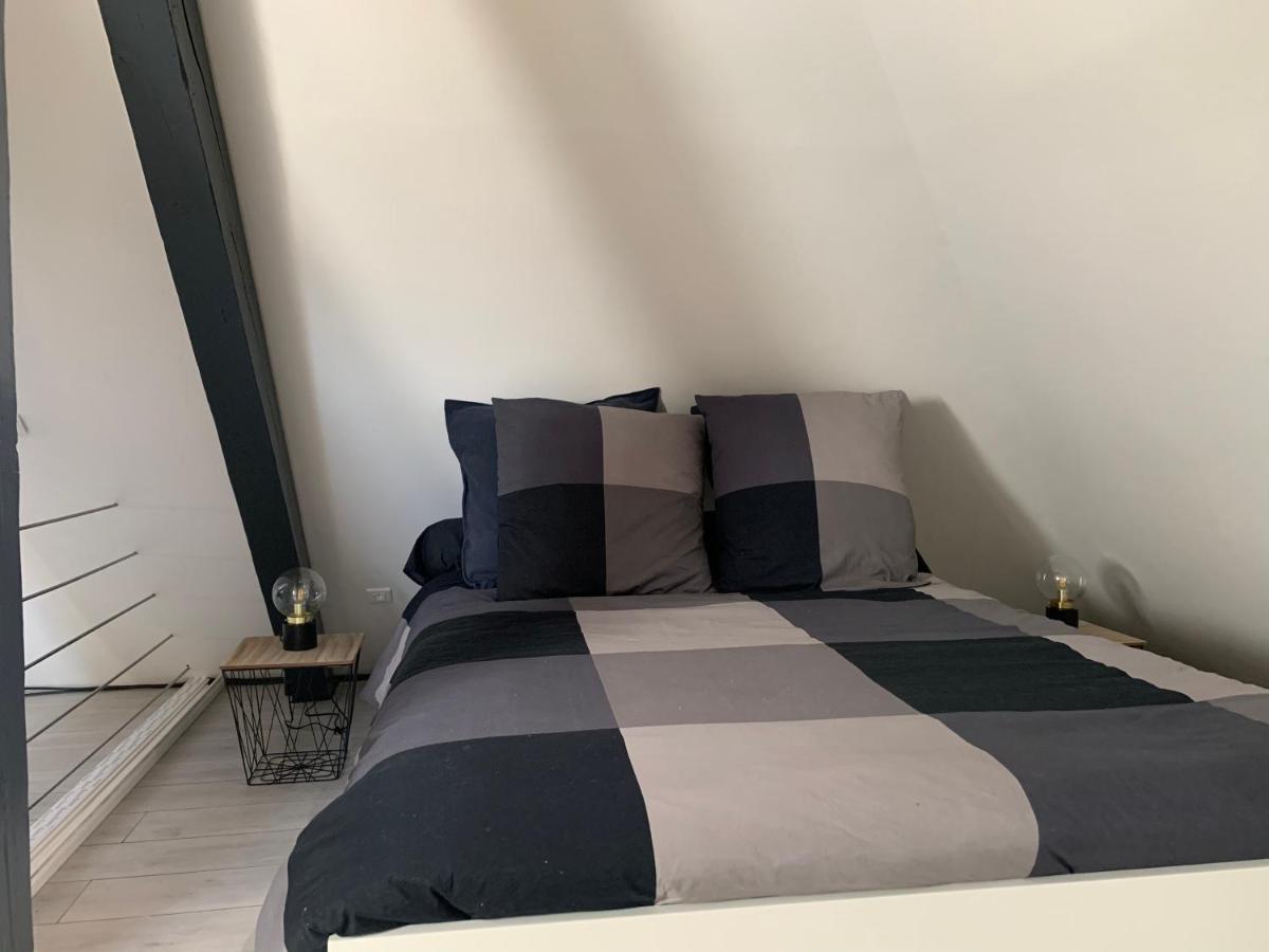 科尔马Cocoon Loft公寓 外观 照片