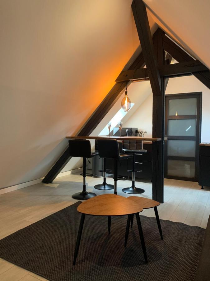 科尔马Cocoon Loft公寓 外观 照片