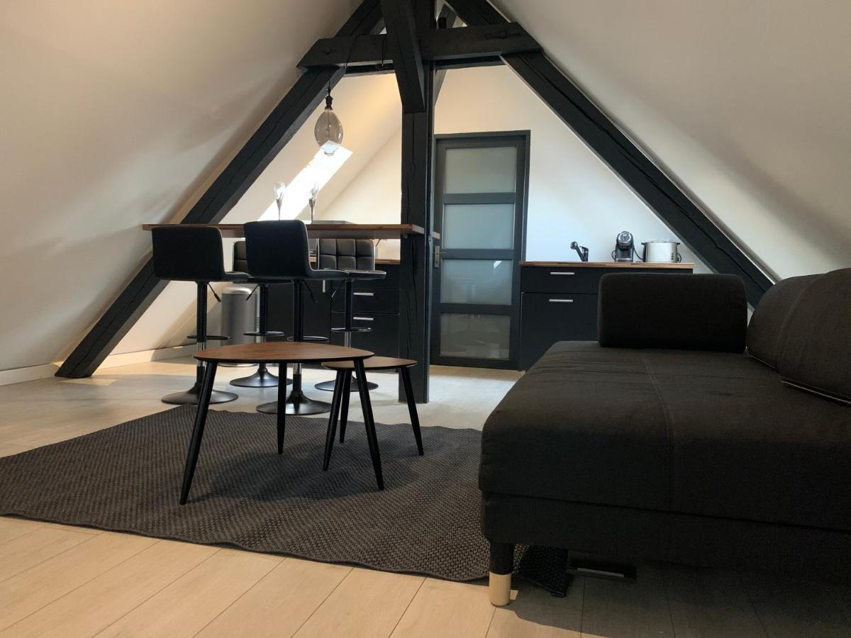 科尔马Cocoon Loft公寓 外观 照片