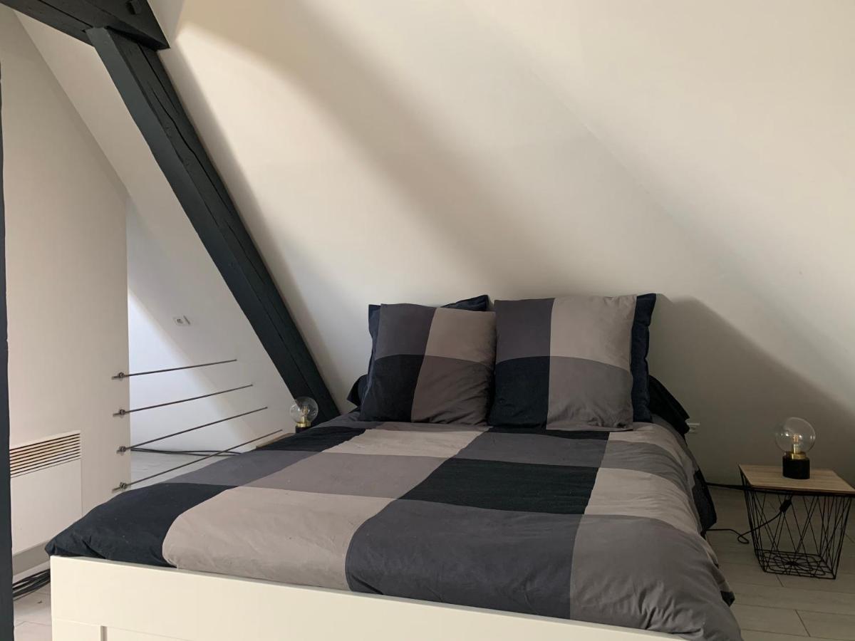 科尔马Cocoon Loft公寓 外观 照片